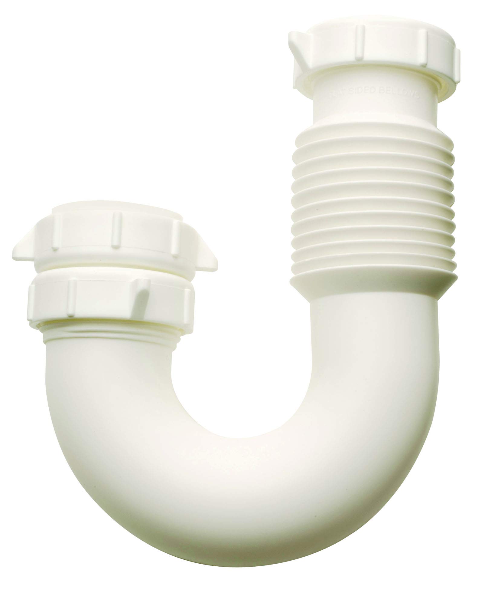 P. ‘White Hips' 株分 31Xcg7FnpEL._AC_UF350,