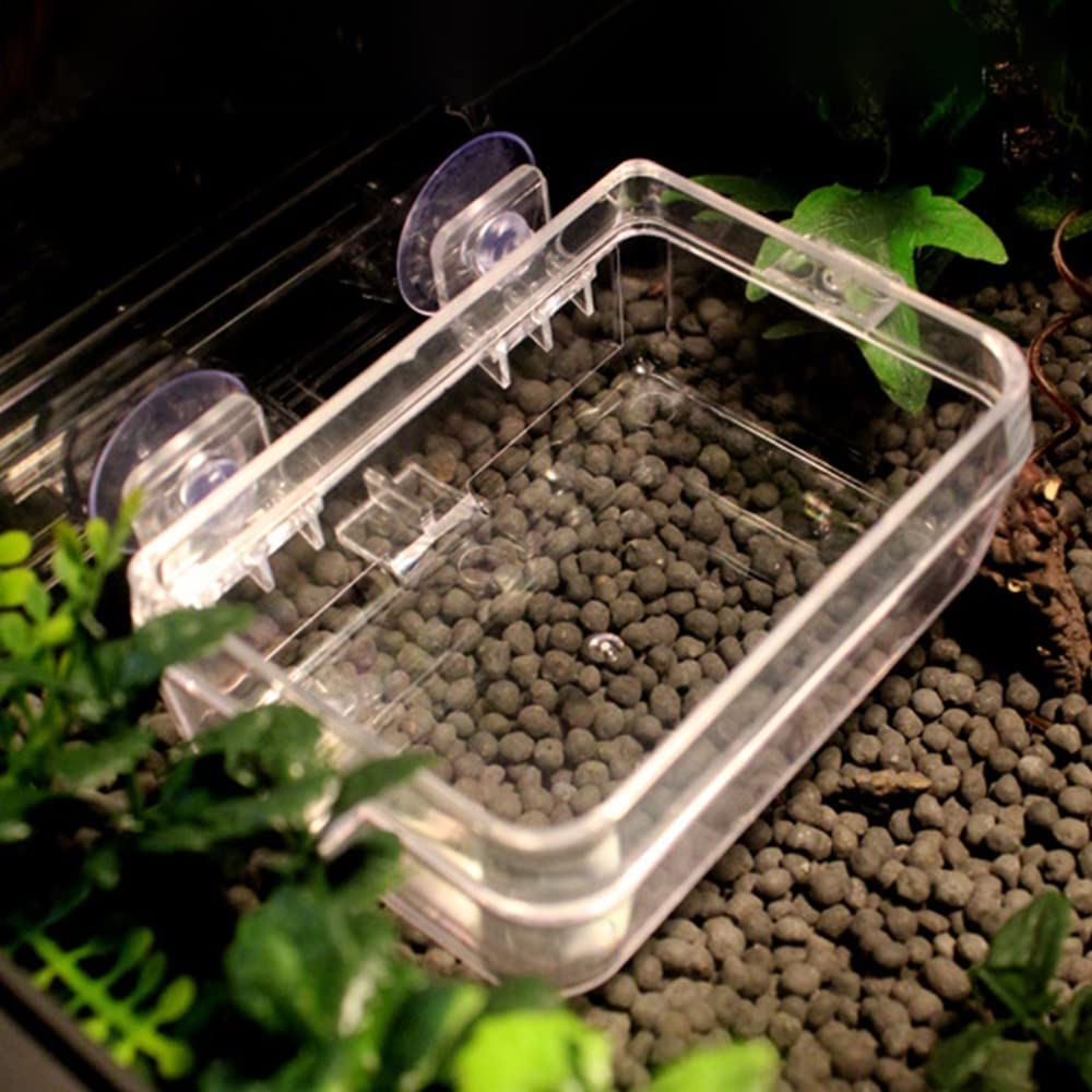 DONGKER Bol Caméléon,Mangeoire d'alimentation en Eau pour Reptiles avec Ventouse pour L'alimentation des Reptiles Caméléon Iguane Lézard