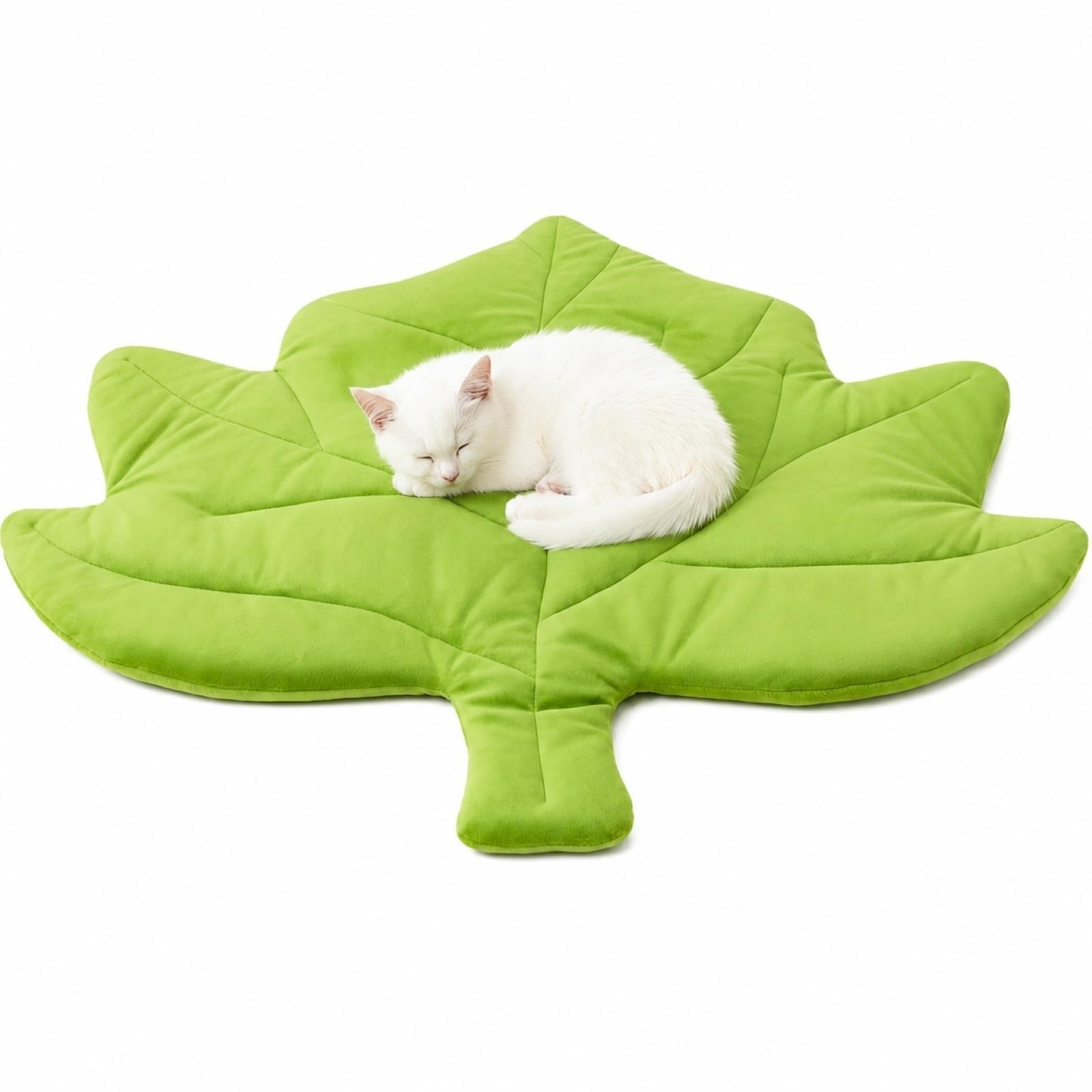 Tapis lavable en forme de feuille durable et doux pour chats