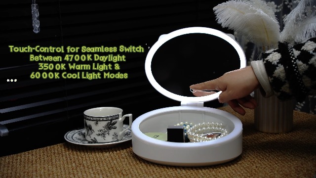 Espejo Ovalado con Luz LED y Almacenamiento USB Recargable miniatura 7