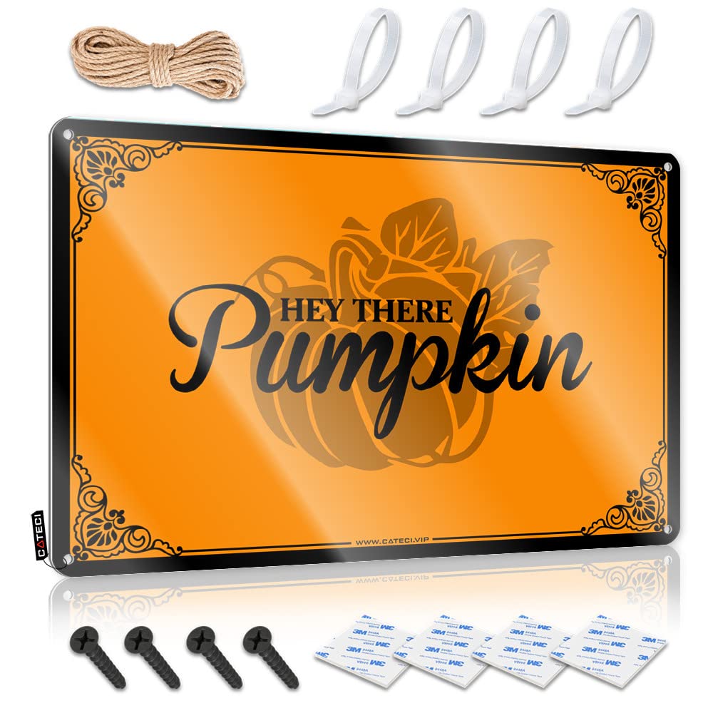 IBWNBBUSN Funny Garage Tin Sign Hey There Pumpkin Tin Sign 1 Funny Wall Decor Signs Things For Boys Room(20X30CM)