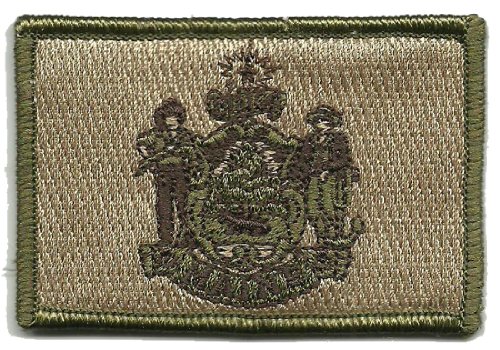 Tactical State Patch - Maine - Multitan