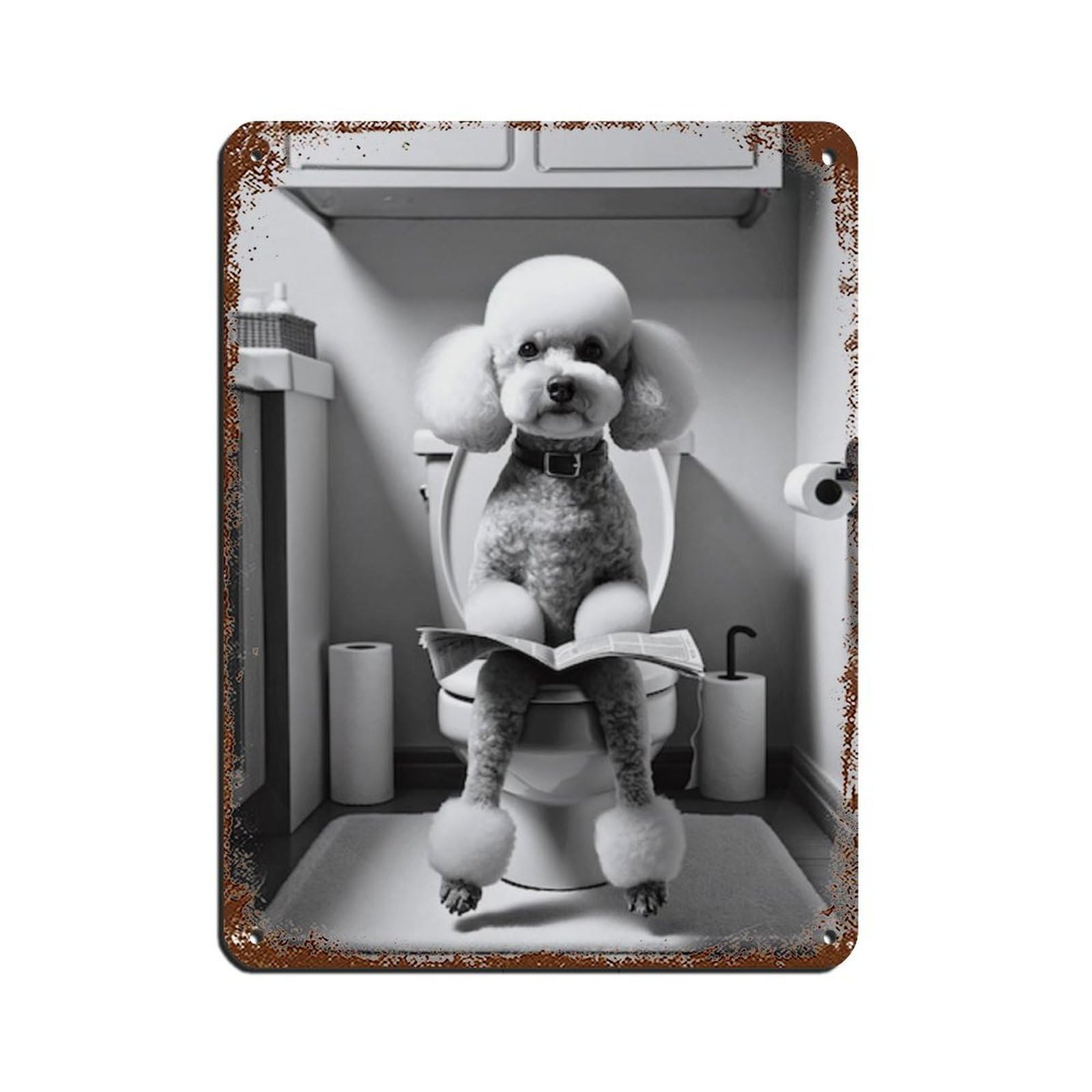 Lxwnze 30L X 40W Cm Poodle, Funny Bathroom Decor Tin Sign Vintage Metal Pub Club Cafe Bar Home Wall Art Decoration Poster Retro 12X16inch(30X40cm)