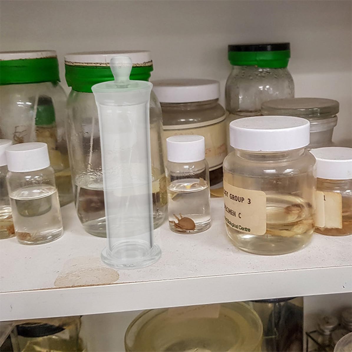 ifundom 2 Piezas Botella y Sellado Hermético de Vidrio de Borosilicato Superficie Lisa Resistente a Altas Temperaturas y Almacenamiento Seguro para Muestras de Laboratorio para Uso