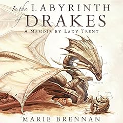 『In the Labyrinth of Drakes』のカバーアート