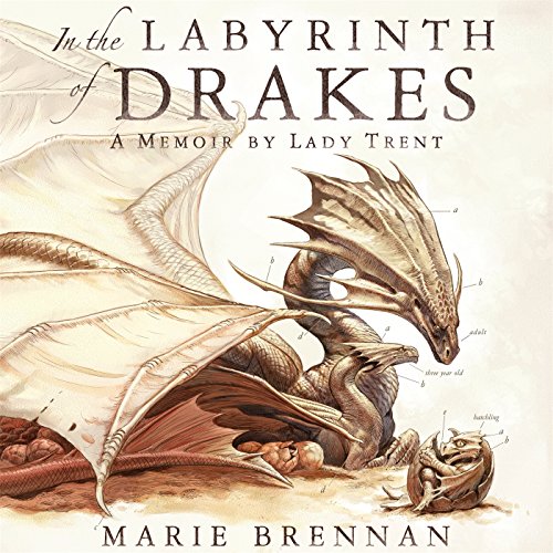 Diseño de la portada del título In the Labyrinth of Drakes