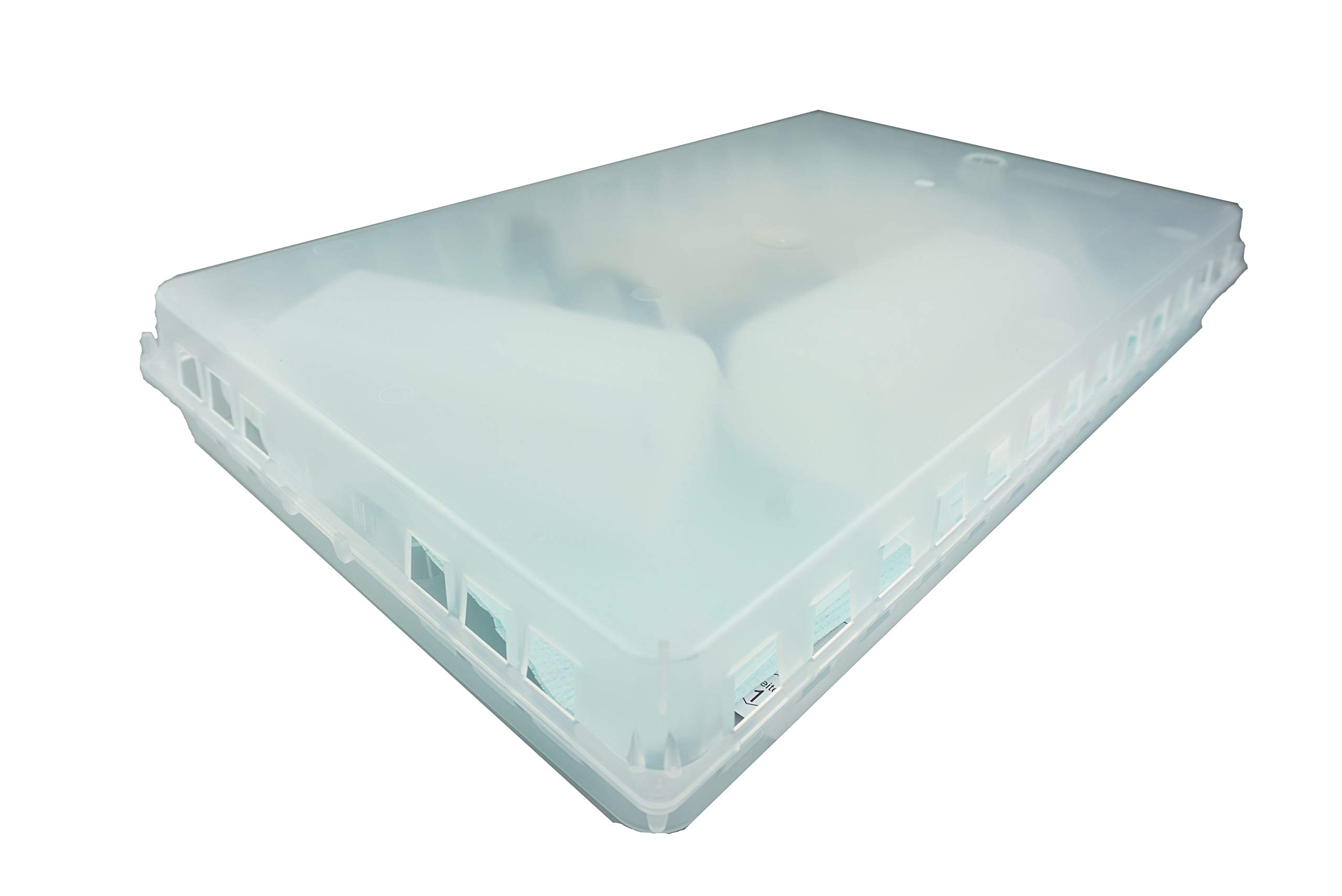 APIFORMES Set: Verdunster Professional Doppelpack von NASSENHEIDER und Dosierspritze - Varroa Milbe - Varroabehandlung - Ameisensäure-Behandlung 60% - Bienen - Imkereibedarf