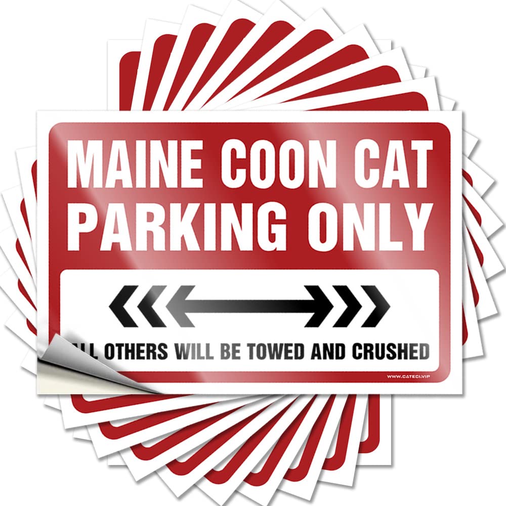 Maine Coon Cat Parking Only Bedroom Stuff Custom - Sticker Bottle Waterproof Decal(6X9CM)