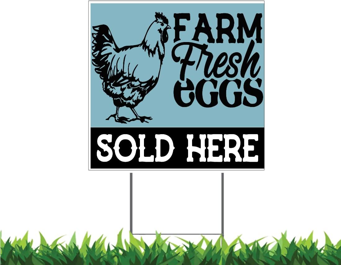 Farm Fresh Eggs Sold Here, Eggs for Sale, V2 24x24" Square Yard Sign (Outdoor, Weatherproof Corrugated Plastic) Metal Stake Included, by Moonlight4225