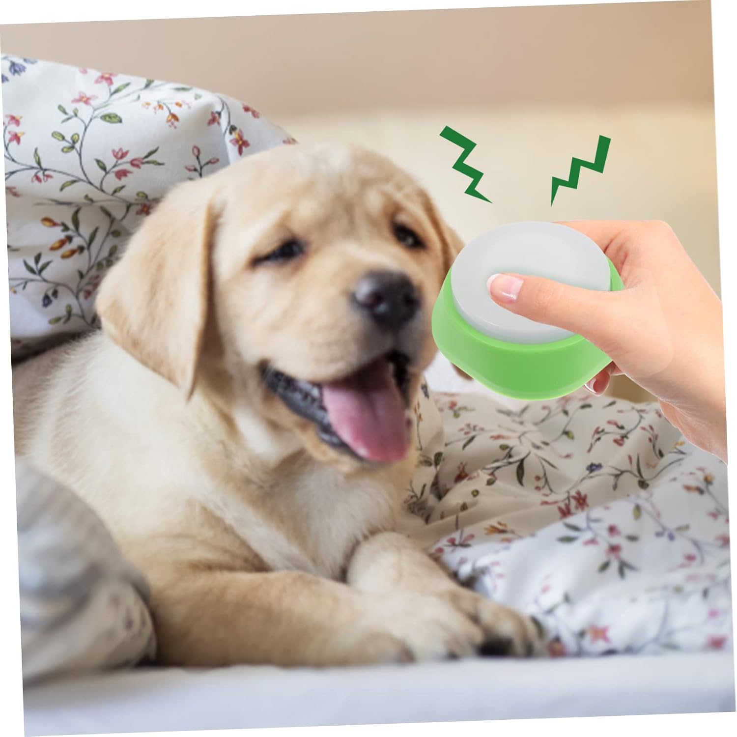 Recordable Light Up Dog Talking Button for Communication Interactive PET Training Toy Sound Dog Communication Device