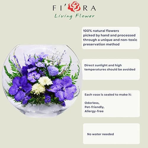 Fiora Flower | Long Lasting Orchids| Lasts Up To 5 Years | No Water Need | Allergy Free | Odor Resistant | Unique Present Gift #TOP7