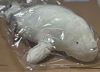 鳥羽水族館　70周年記念　ジュゴン　セレナ　ぬいぐるみ Amazon.co.jp: 鳥羽水族館70周年記念ジュゴン セレナ ぬいぐるみ