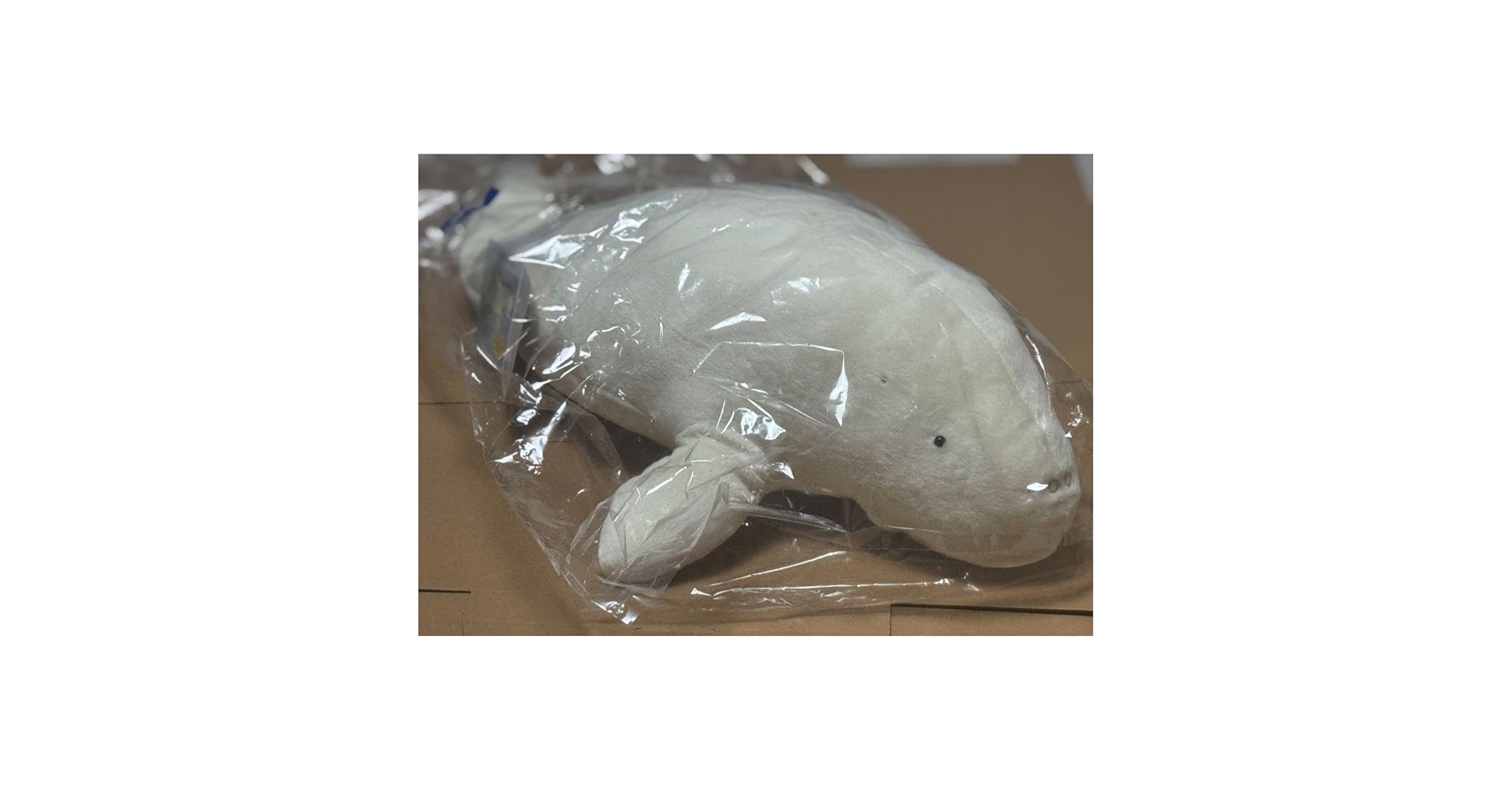 鳥羽水族館　70周年記念　ジュゴン　セレナ　ぬいぐるみ Amazon.co.jp: 鳥羽水族館70周年記念ジュゴン セレナ ぬいぐるみ