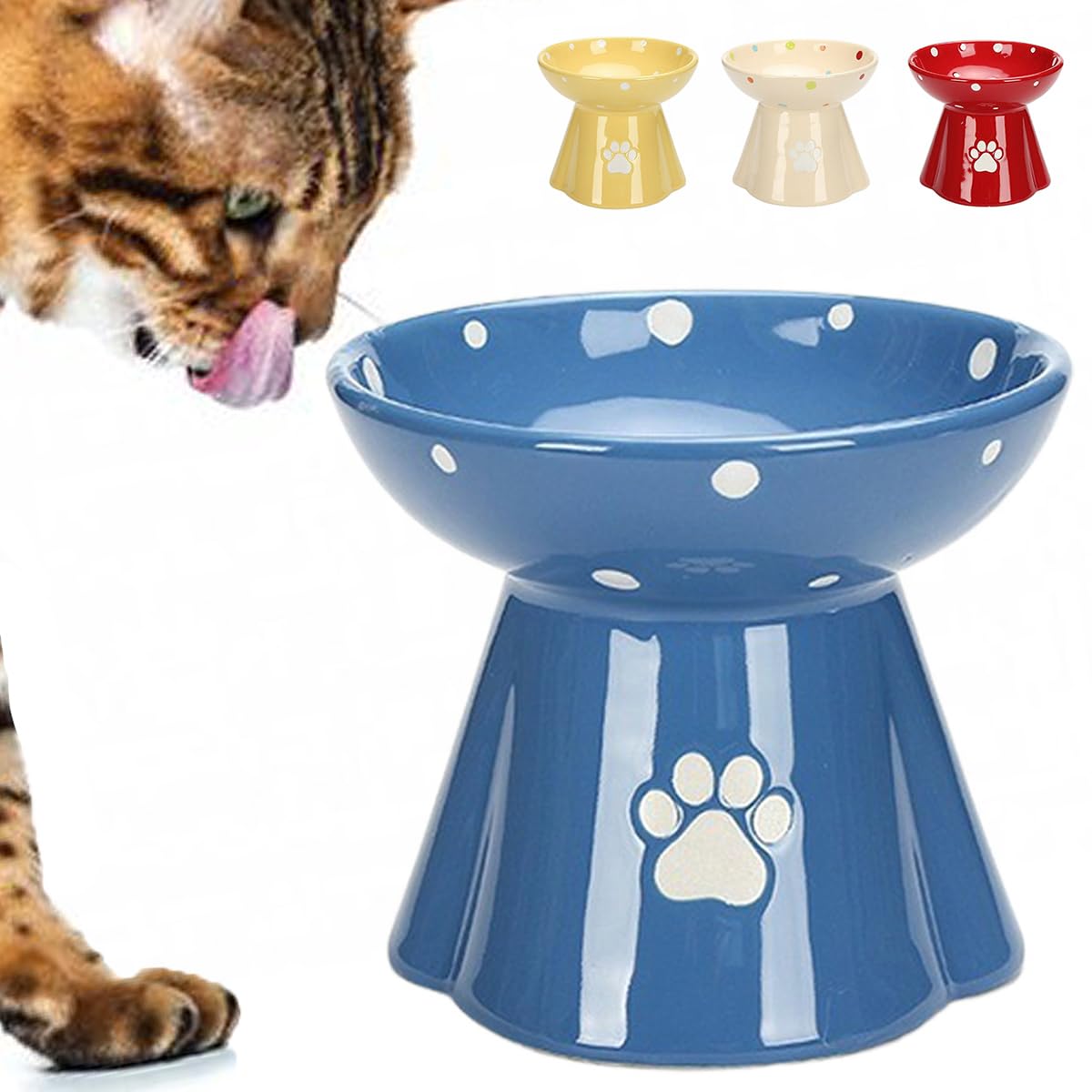 Amazon | iikuru 猫 皿 かわいい 食器 小型犬 えさ皿 高さ フード
