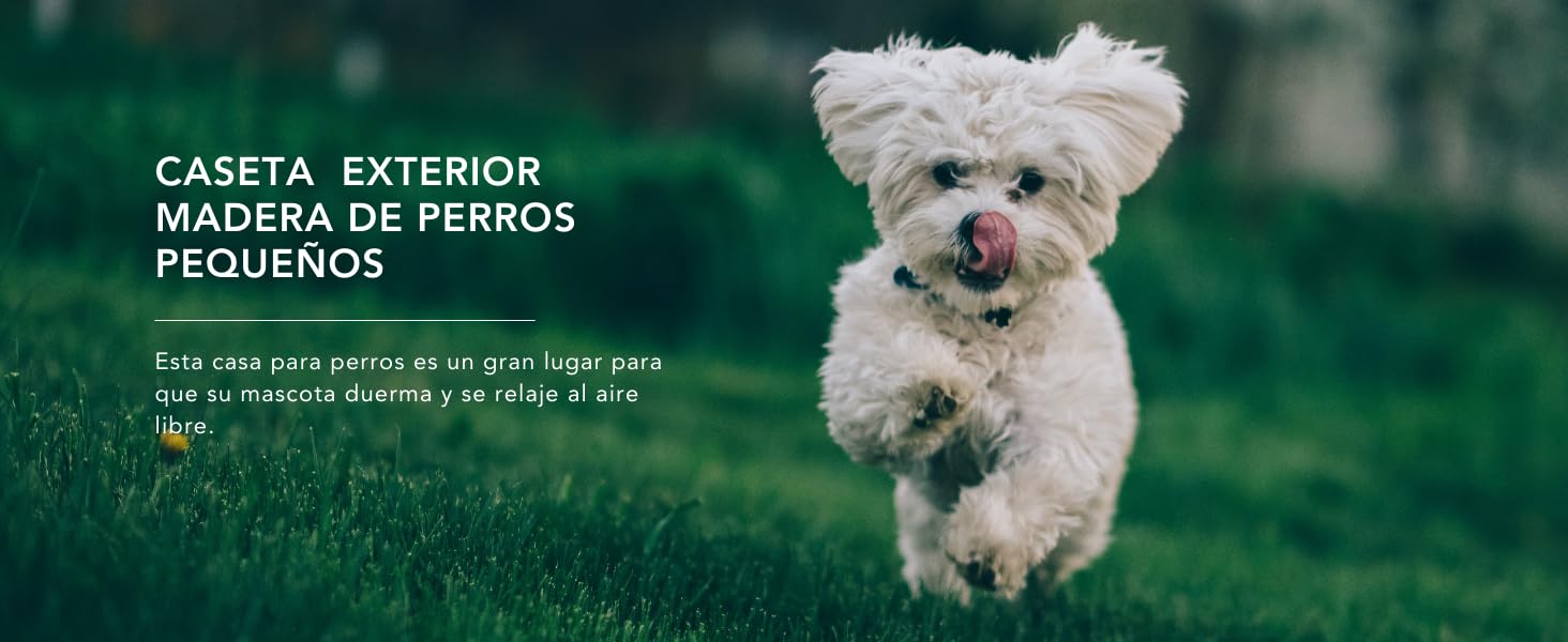 Caseta Perros Exterior Madera - 76 x 99 x H80 cm - casa Perro - Talla S -casa de Perros pequeños - Techo Impermeable - Timbela M401-1