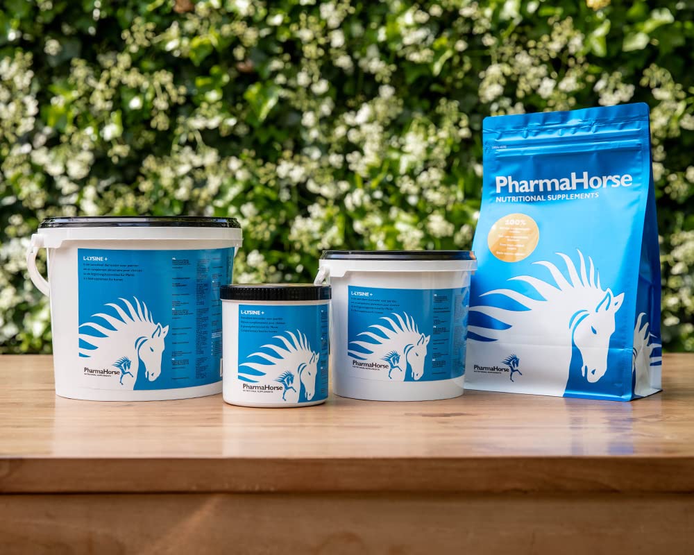 PharmaHorse L-Lysin+ | Immunsystem | Abwehrzellen | Müdigkeit | 100% Dopingfrei | 3000 Gramm