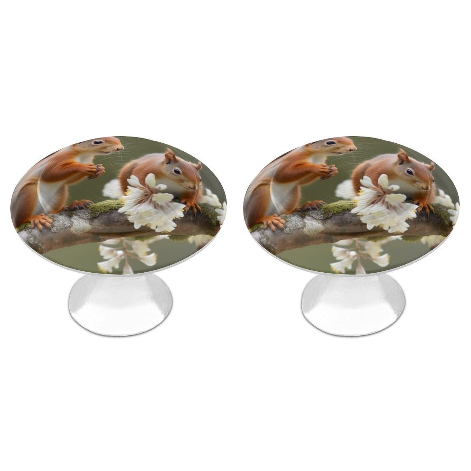 NTVOWPZO Cabinet Handles Round Drawer Pulls Squirrels Dresser Knobs for Cabinets and Drawers Handle for Bathroom Cupboard Drawers Cabinet Pulls for Kitchen Door