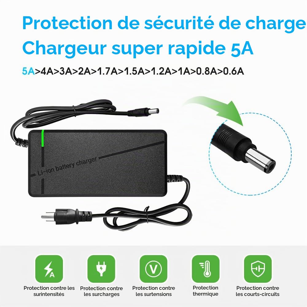 Chargeur 67,2 V 5 A avec prise 6 en 1 pour batterie au lithium 60 V telles que les batteries marines de voiture, camion, tondeuse à gazon, bateau (67,2 V 5 A (prise 6 en 1))