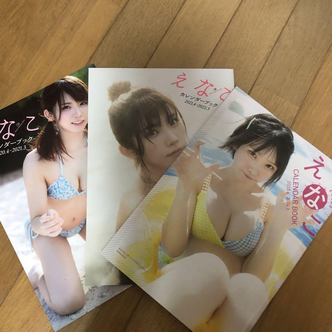 Amazon | えなこ カレンダーブック 3冊セット C6 | しおり | 文房具