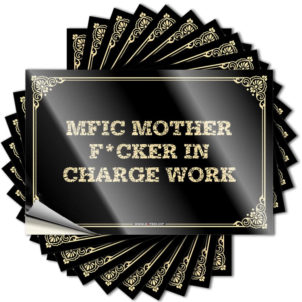 JNBT Funny Car Decals Positive Affirmation Laminated Wall Peel And Stick Decor - Mfic Mother F*cker In Charge Work/Door(8X12CM-5Pcs)