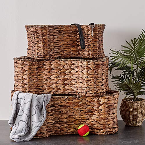 Image of Bone Dry Pet Storage Collection Bone Shape Hyacinth Toy Basket, Small, Dark Brown