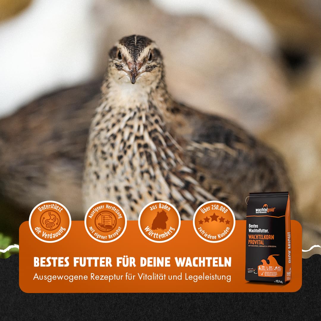 WachtelGold® semi di quaglia ♥ │10kg, mettere grano nature 2mm│✓ Senza OGM│Ideale abbinato a mettere quaglie