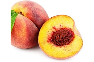 QAUZUY GARDEN Peach Fruit Tree Seeds