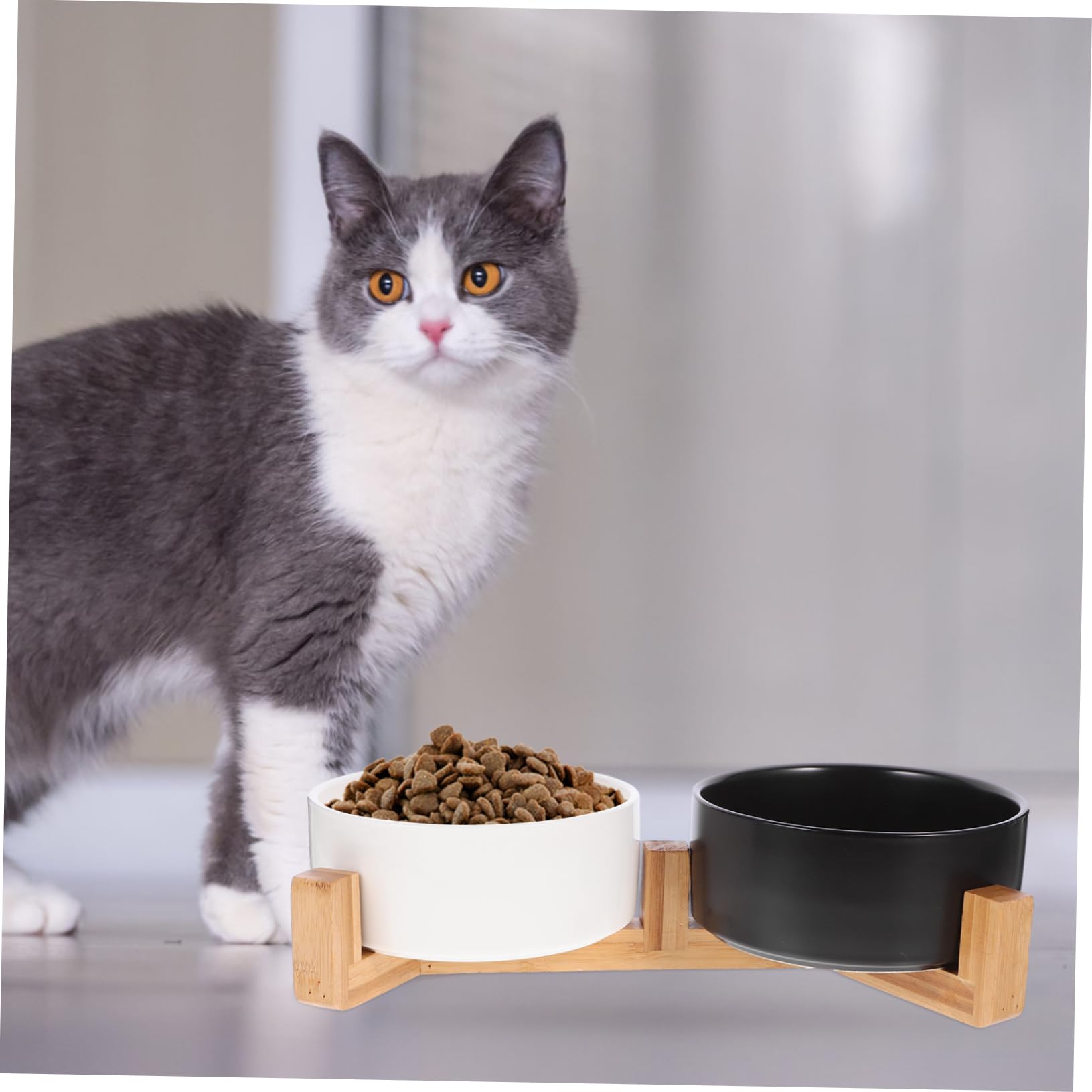 Toddmomy 1juego Comedero De Cerámica Doble con Soporte De Madera Antideslizante para Perros y Gatos para Comida y Agua Mediano Diseño Práctico y Seguro