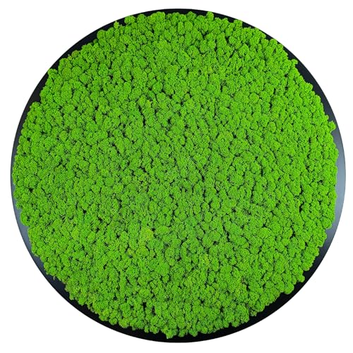 Cadre avec mousse d'Islande naturelle et finitions bois noir premium