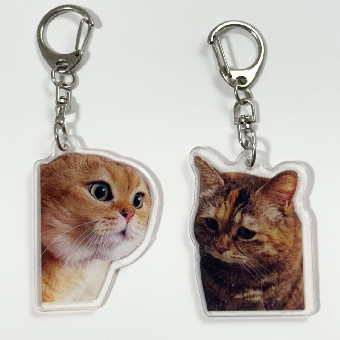 Amazon.co.jp: しゃべる猫と無知な猫猫ミーム キーホルダー アクリル