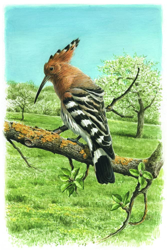 Atlas Deutscher Brutvogelarten (ADEBAR): Atlas of German Breeding Birds