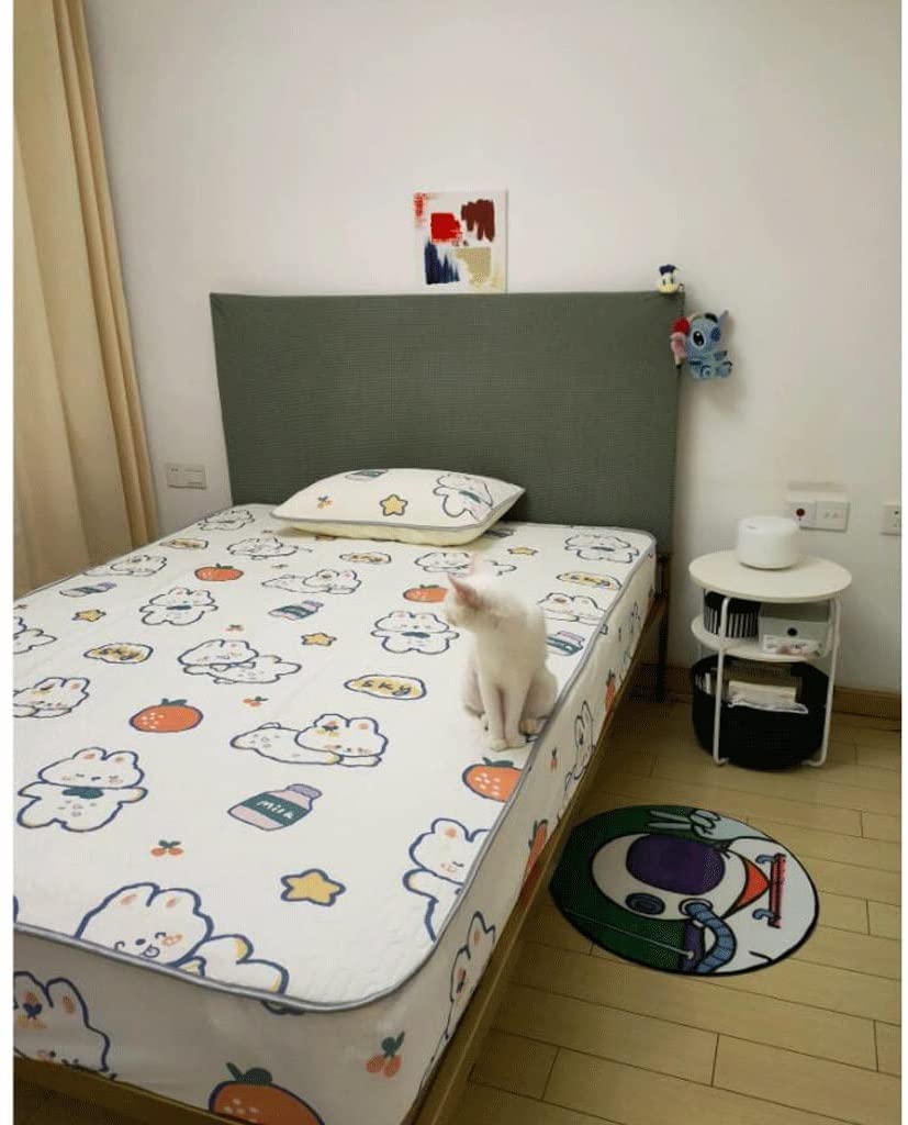 https://m.media-amazon.com/images/I/61JuOuCkEfL.jpg