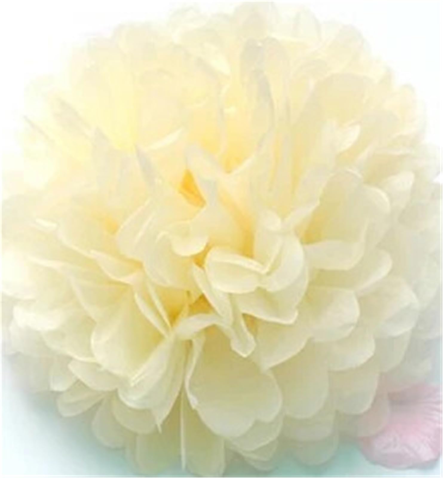 Paper Pom Poms 1pcs 4inch (10cm) Pompon Tissue Paper Pom Poms Flower Balls Home Decoration Party Supplies Wedding Balls(Beige)