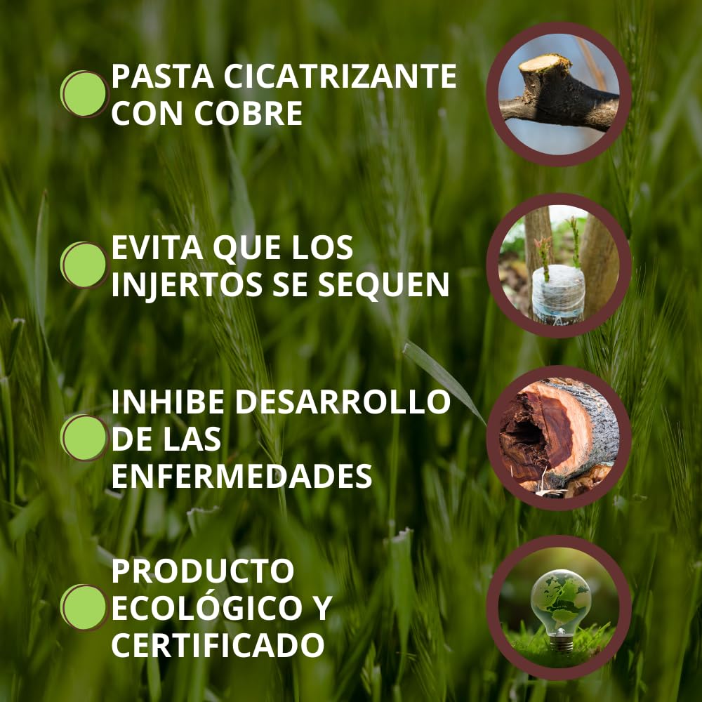 VITHAL Pasta Cicatrizante Sellaplus 290g - Protege y Cicatriza Árboles Frutales y Arbustos Tras Poda e Injertos, Protección Contra Heridas y Daños Climáticos