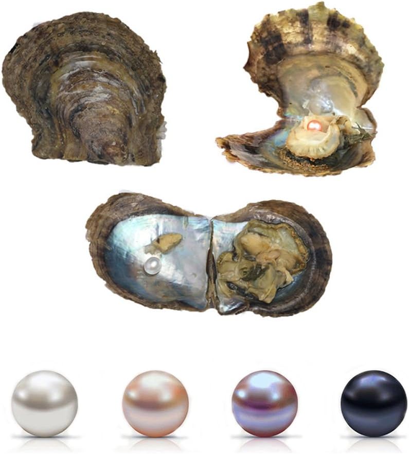 4PC Saltwater Love Wish Akoya Pearl Oyster with Pearls Inside (6-8mm, 4PC)