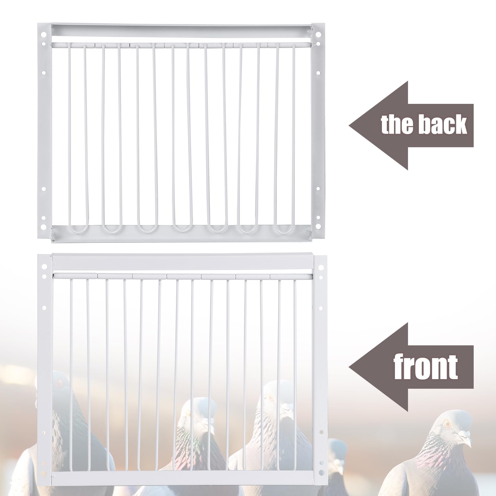 T-Trap - Porta d'ingresso per animali domestici, usa e getta, per piccione da corsa, piccione, porta d'ingresso in ferro, pappagallo, accessorio per l'allevamento di uccelli, 33 x 26 cm