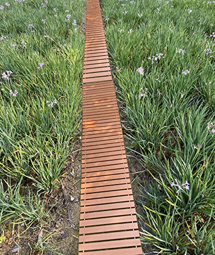 I Frmmy Outdoor Weather Resistant Straight Pathway For Garden Walkway, Made Of Ps Wood (8'L X 18" W) #TOP6