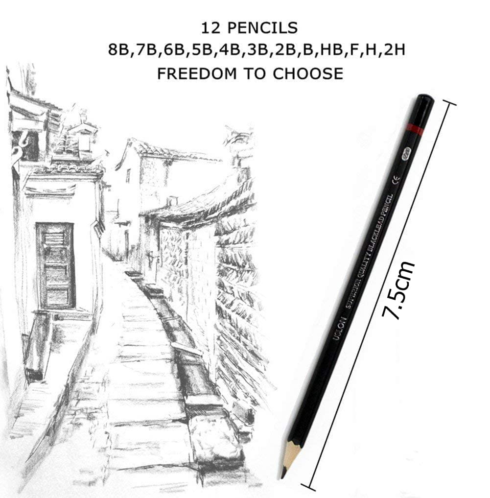 MVM Enterprise Professional Drawing Art Sketch Graphite Pencils, 2H, H, F, HB, B, 2B, 3B, 4B, 5B, 6B, 7B, 8B, Set of 12, Black 2