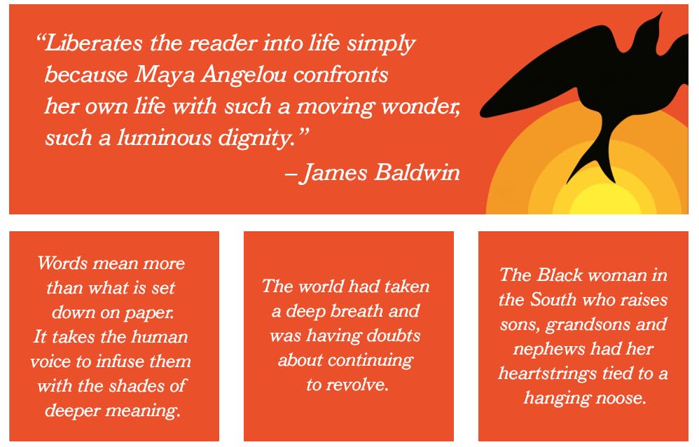 I Know Why the Caged Bird Sings - Image 7