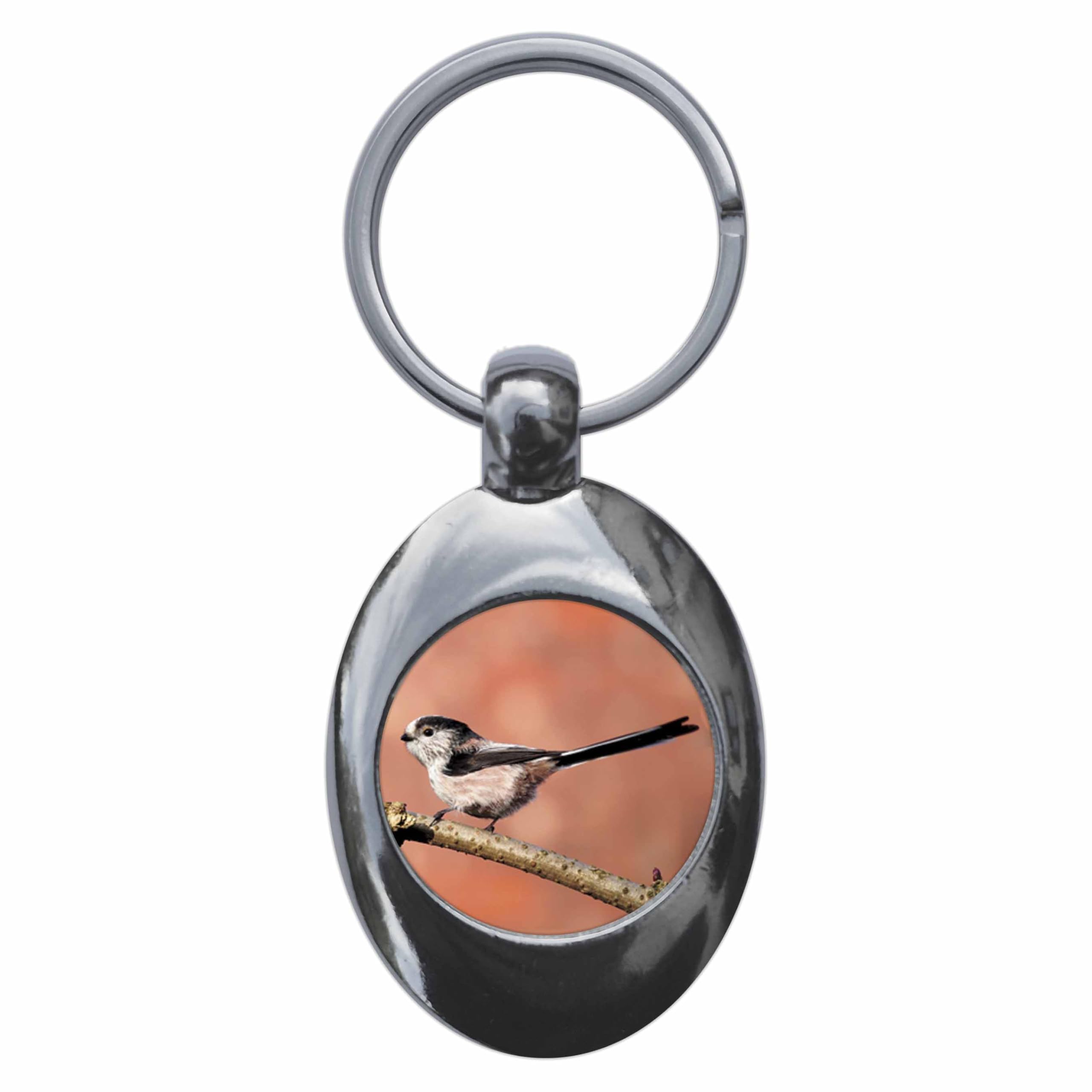 Ozorath Long Tailed Tit Keyring Keychain Key Ring Chain With Trolley Coin