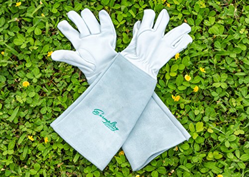 Rose Pruning Gloves for Men and Women. Thorn Proof Goatskin Leather Gardening Gloves with Long Cowhide Gauntlet to Protect Your Arms Until The Elbow (Extra Small) - Thumbnail 3