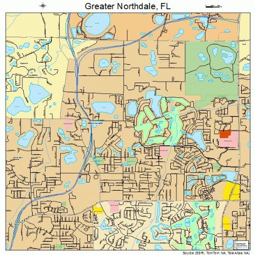 Large Street & Road Map of Greater Northdale, Florida FL Printed
