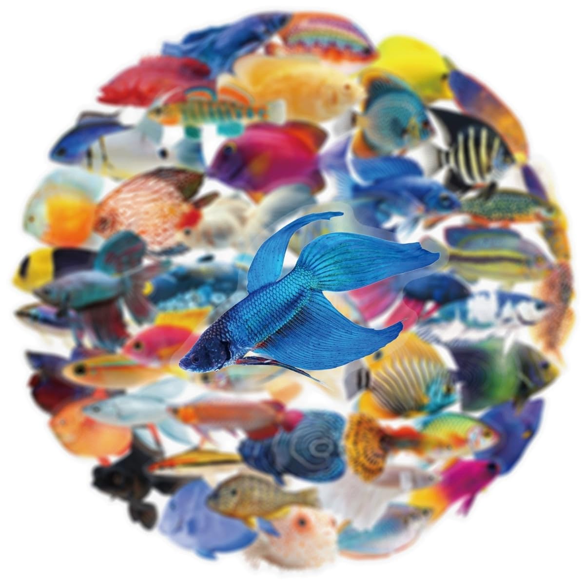 50 Pcs Fish Stickers for Kids Teens Adults Boys Girls Gift,Fish Stickers Pack for Laptop,Skateboard,Luggage,Car,Bike,Cup,Computer,Water Bottle Decor,Transparent Vinyl Waterproof Decals - Image 2