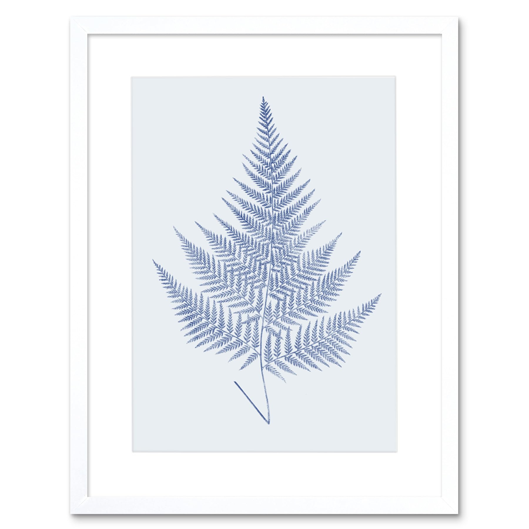 Wee Blue Coo Botanics Cobalt Fern Eppusum Art Print White Framed Poster Wall Decor 9x7 inch