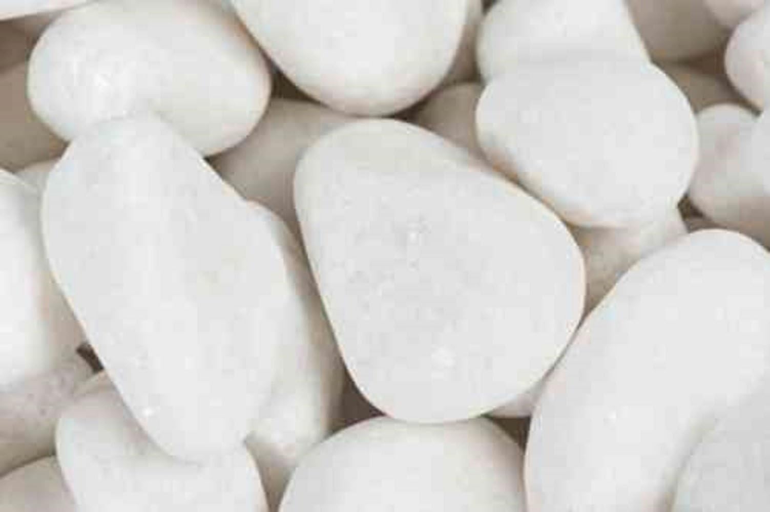Rainforest RFCBP5-30-PLT64 Caribbean Beach Pebbles, Large, White
