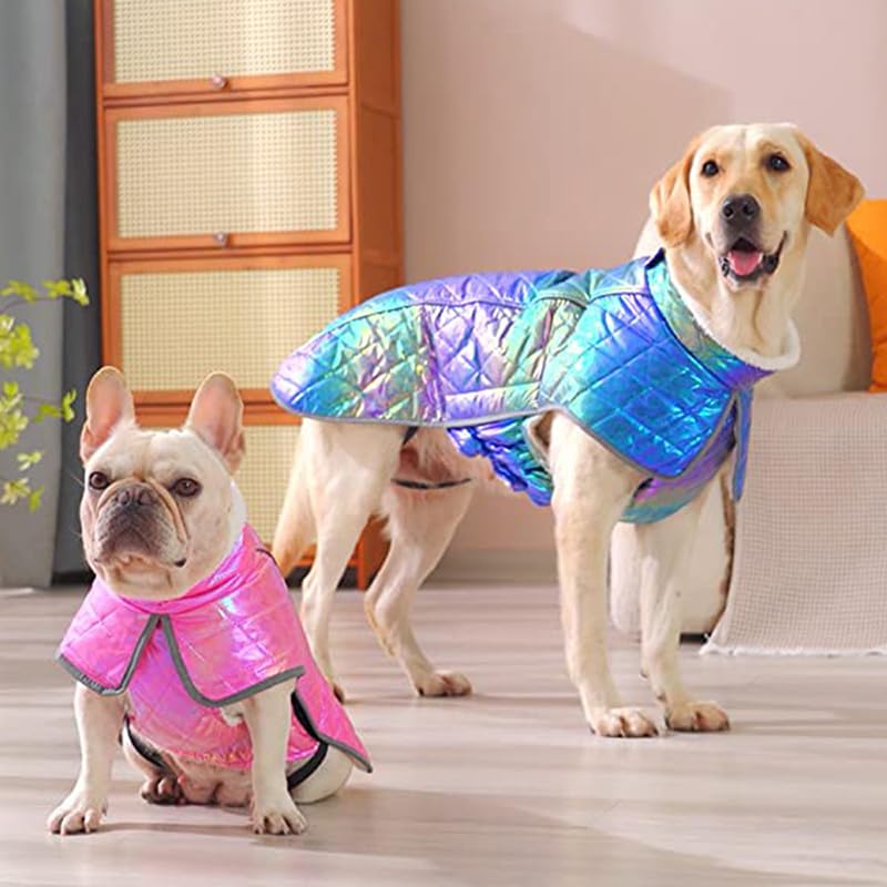 Manteau d'hiver Épais pour Gros Chien,Veste Imperméable pour Animaux De Compagnie,Tenues Réfléchissantes pour Chiens De Taille Moyenne Et Grande,Costume pour Bouledogue du Labrador,Un,2X