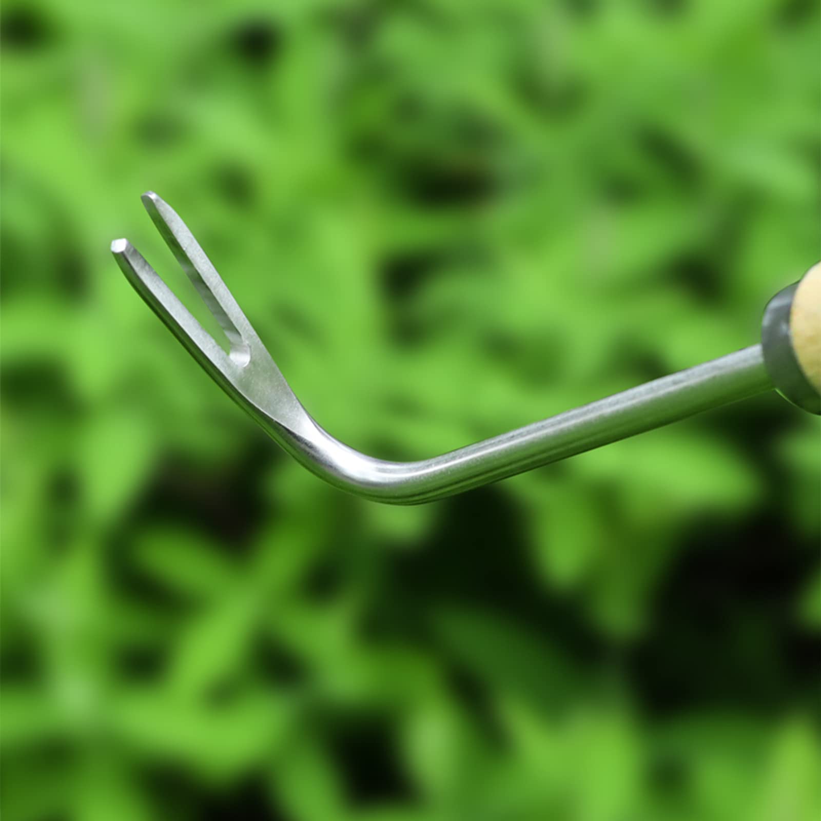 Aspergesteker kopen? Goedkope Aspergesteker bestellen