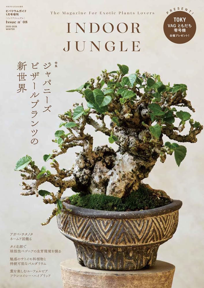 植物の奴隷出品 創和リサイクル SERAMIS セラミス・グラニュー(室内容器栽培用土) 1.25