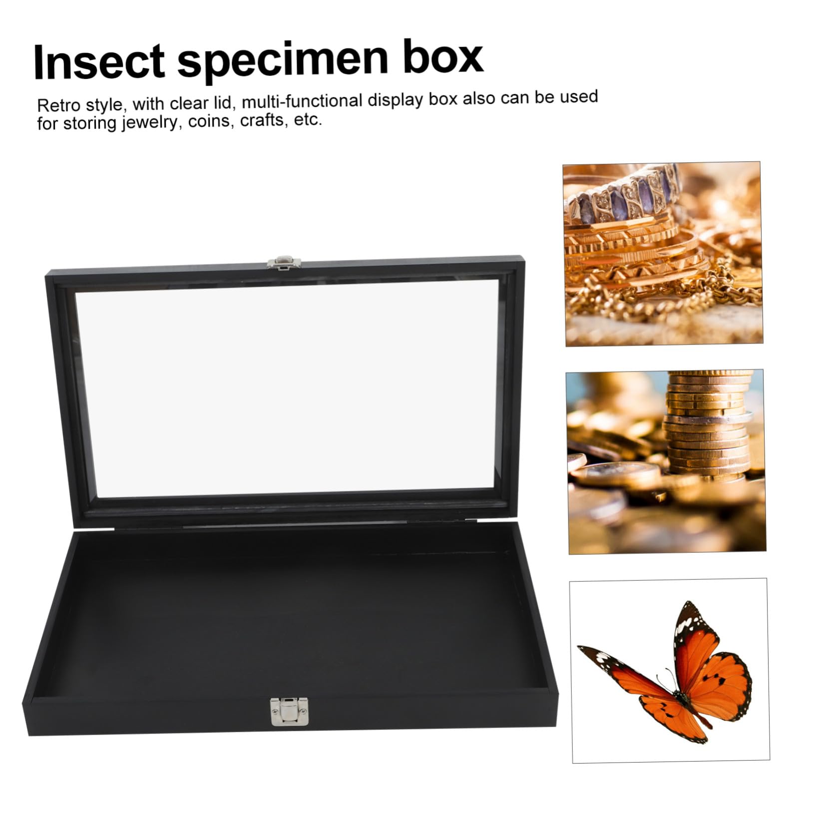 Cabilock Elegante Holz Vitrine für Insekten und Kleine Objekte mit Schloss Dekorative Ausstellungsbox für Sammler und Naturfreunde zur Innenraumdekoration