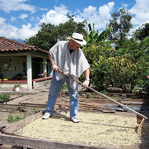 2LB Don Pablo Colombian Decaf Light Roast - Swiss Water Process Decaffeinated - Light Roast Whole Bean Coffee - Low Acidity - 2 Pound (2 lb) Bag - Thumbnail 4